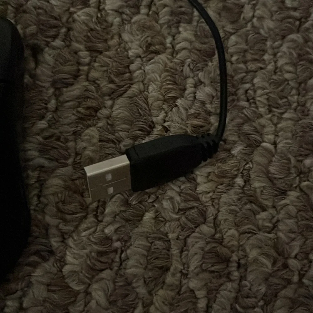 Computer Mouse